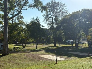 Sunlit grassy campsites among trees with caravans in the background
